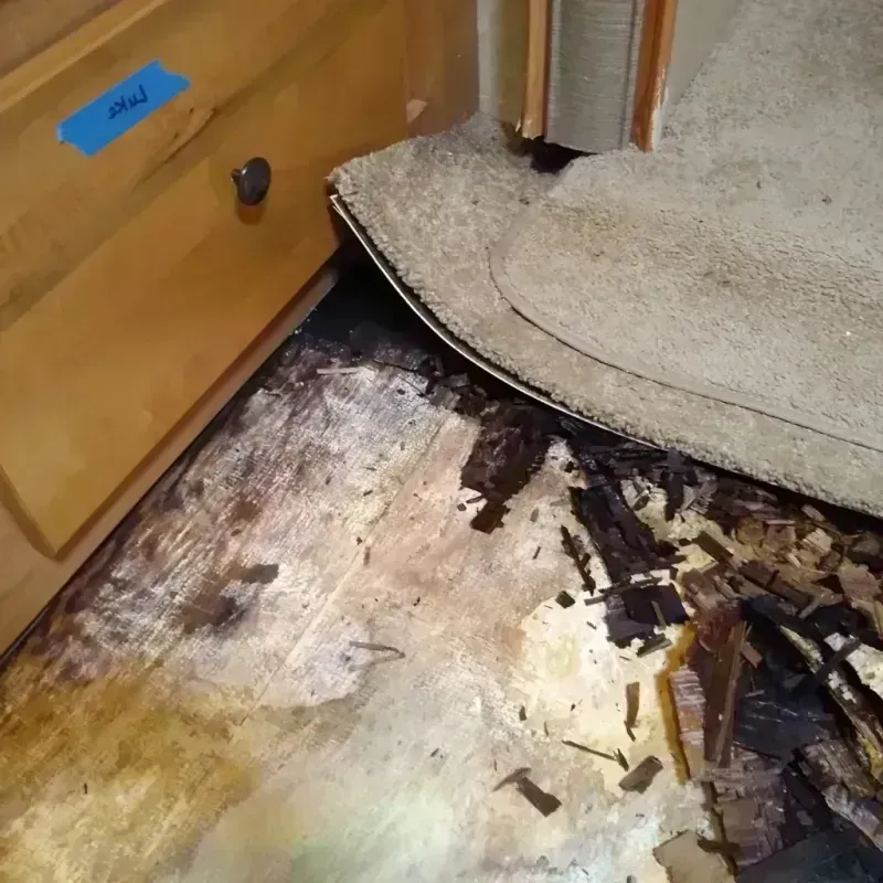 Best Wood Floor Water Damage Service in Ridgecrest, FL